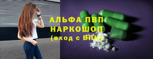 гашик Алексин