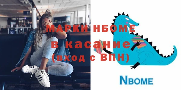 гашик Алексин