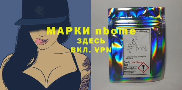 прущие грибы Алзамай