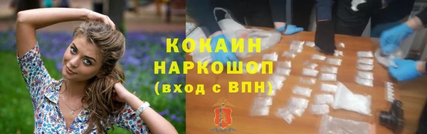 прущие грибы Алзамай