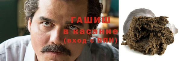 гашик Алексин