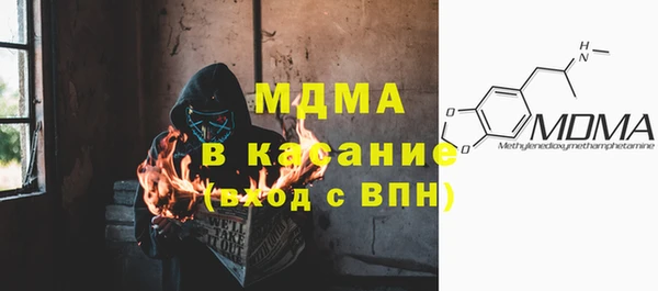 гашик Алексин