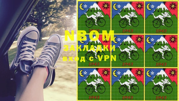 гашик Алексин