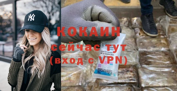 гашик Алексин