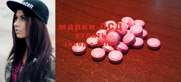 гашик Алексин