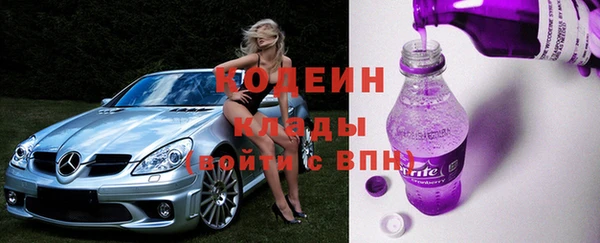 прущие грибы Алзамай