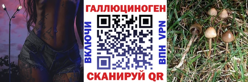 Псилоцибиновые грибы мухоморы Йошкар-Ола